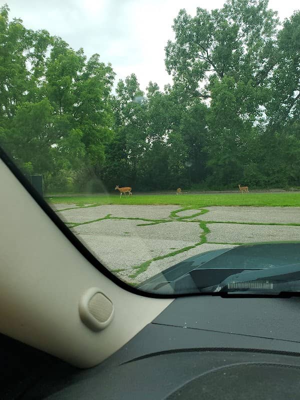 Abrams Park - Image 2