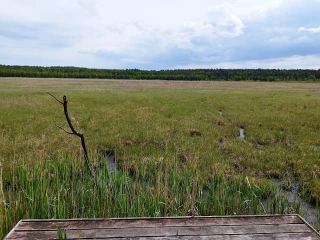 Pomost nad Jeziorem Piaski - Image 1