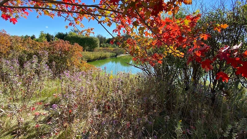 Elmira Nature Reserve & The Habitats - Image 1