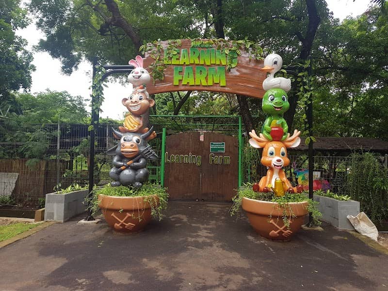 Ancol Learning Farm (Bertani) - Image 2