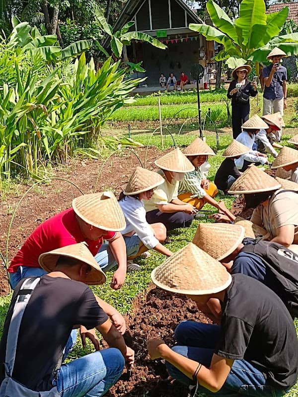 Ancol Learning Farm (Bertani) - Image 1