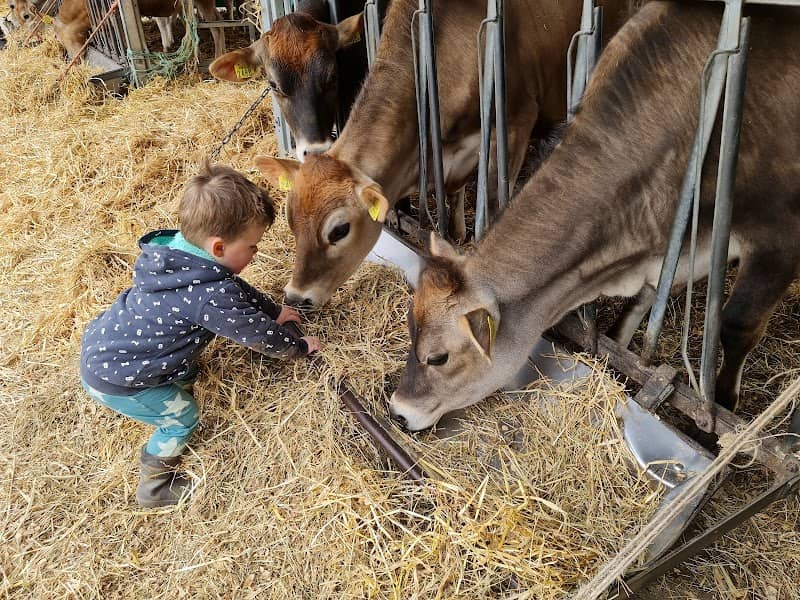 Boebadoe Boerderij - Image 2