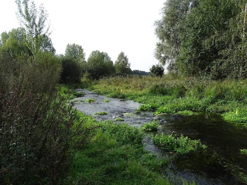 Natuurgebied de Olde Kene - Image 1