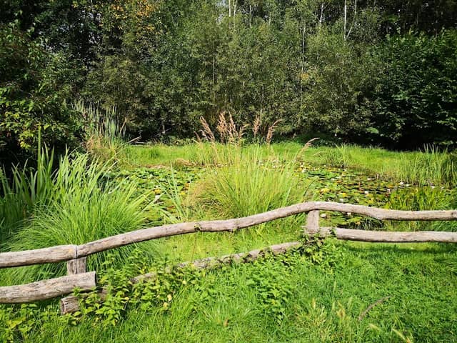 Seerosengarten - Image 2