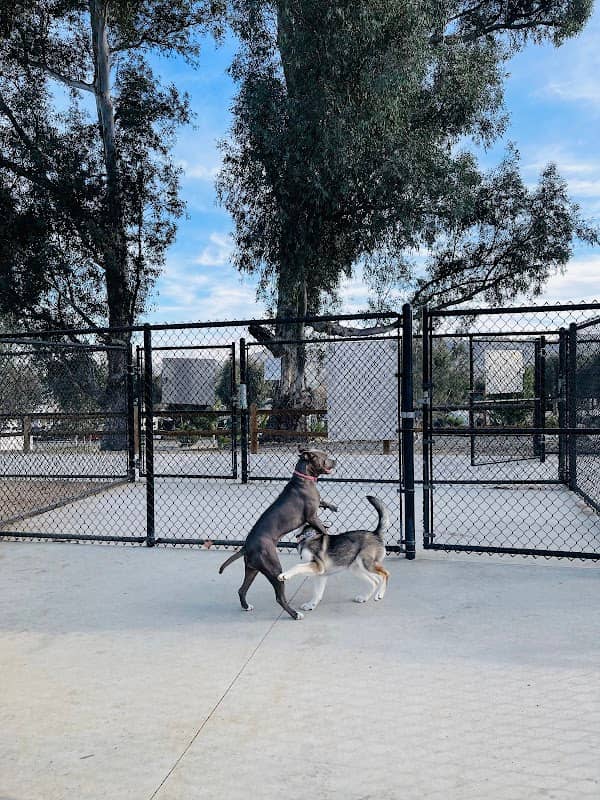 Serenity Dog Park - Image 2