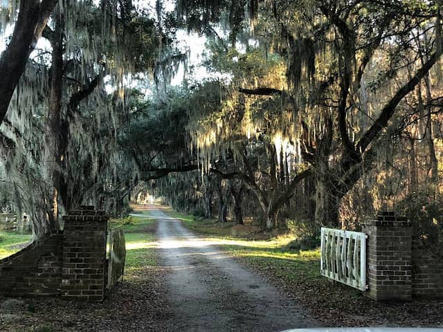 Old House Plantation - Image 3
