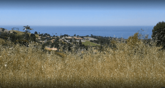 Rico Place Park - Image 2