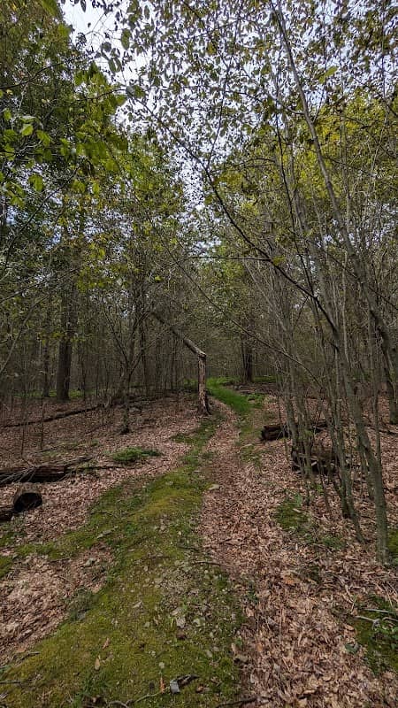 Chestnut Mountain Nature Preserve - Image 1