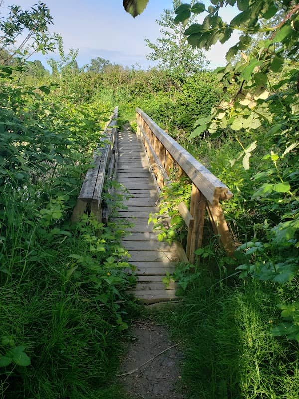 Shirley 's Walk - Image 2