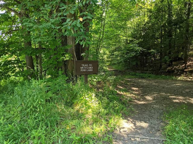 Mud Lake Trail - SR 58 Trailhead - Image 1