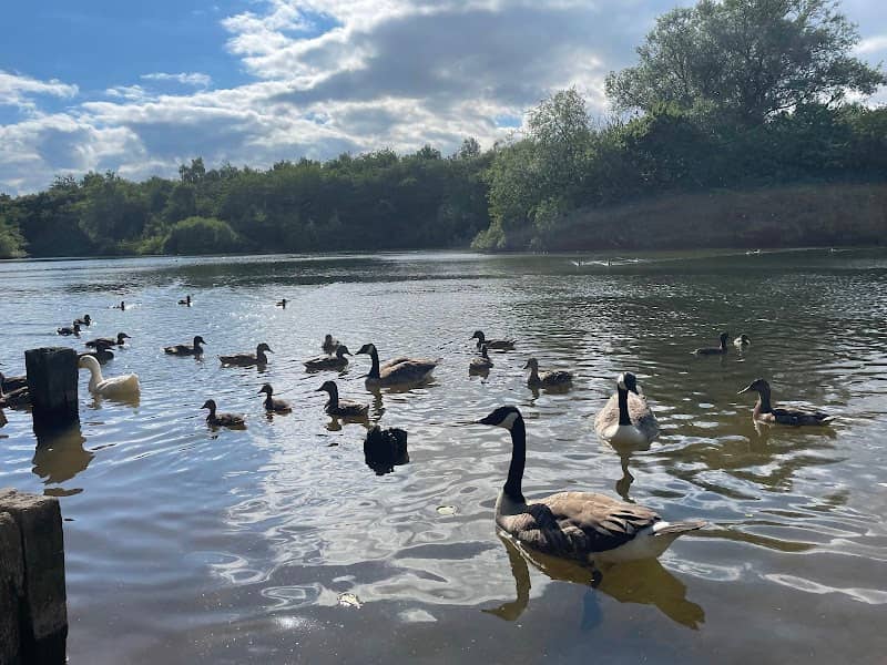 Bestwood Country Park - Mill Lakes - Image 3