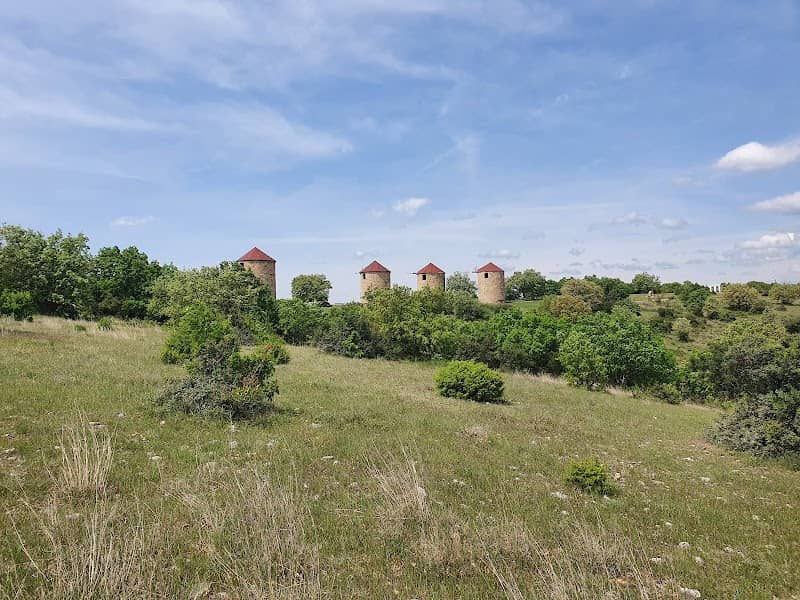 Traditional Melia Windmills - Image 1