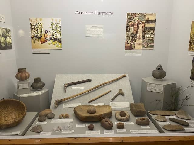 University Museum - Image 3