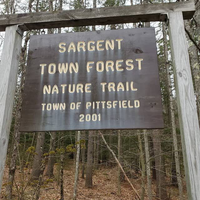 Sargent Town Forest Nature Trail - Image 1