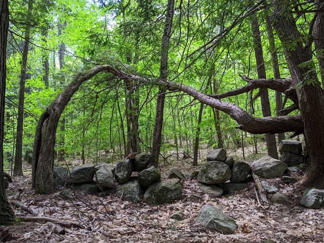 Sargent Town Forest Nature Trail - Image 2