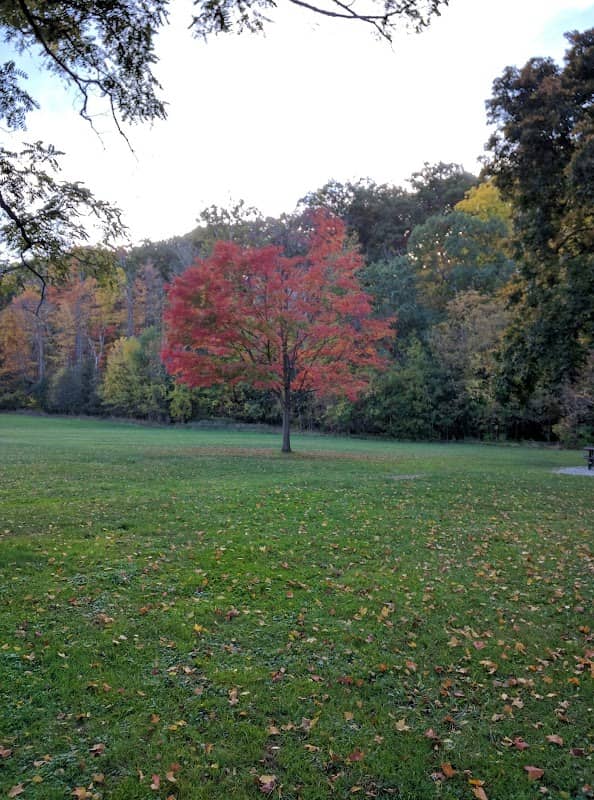 Sycamore Shelter - Image 2