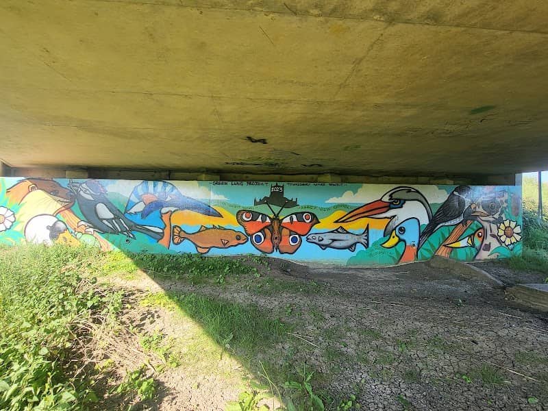 Tewkesbury Nature Reserve (South Access) - Image 1