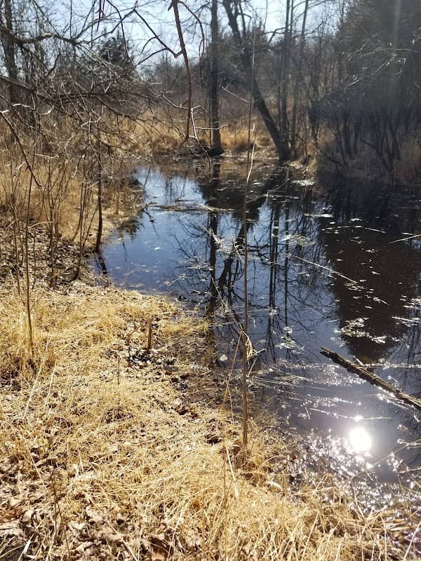 Kratzsch Conservancy - Image 2