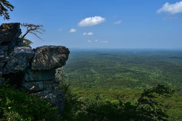 Talladega National Forest - Image 1