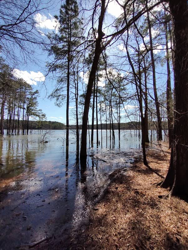 Jordan Lake Educational State Forest - Image 1