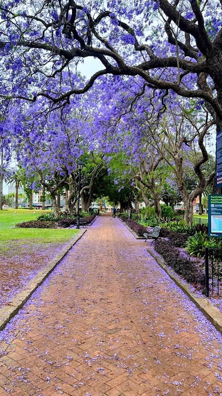 Prince Alfred Square - Image 3