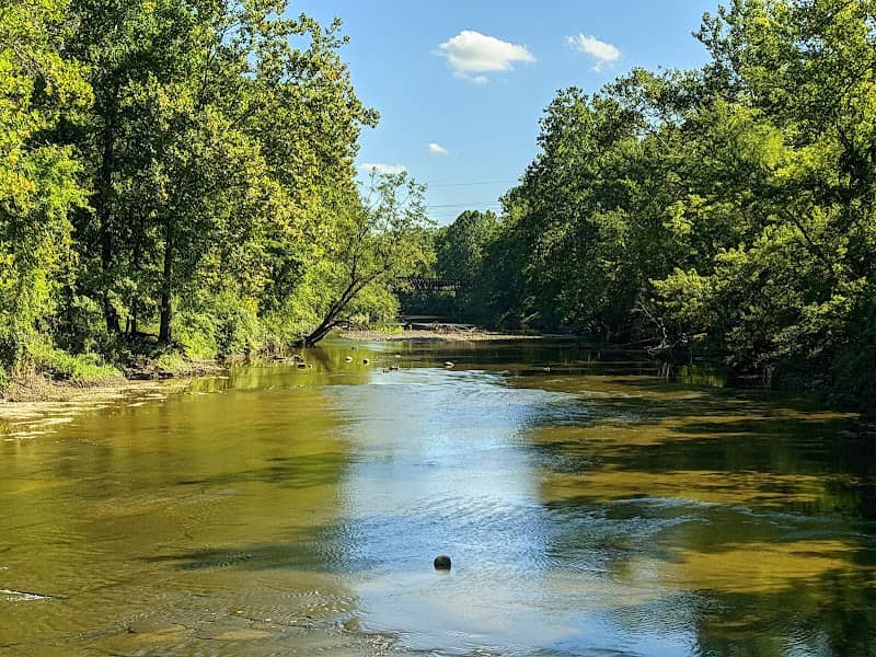 Black River Reservation Bur Oak - Image 1