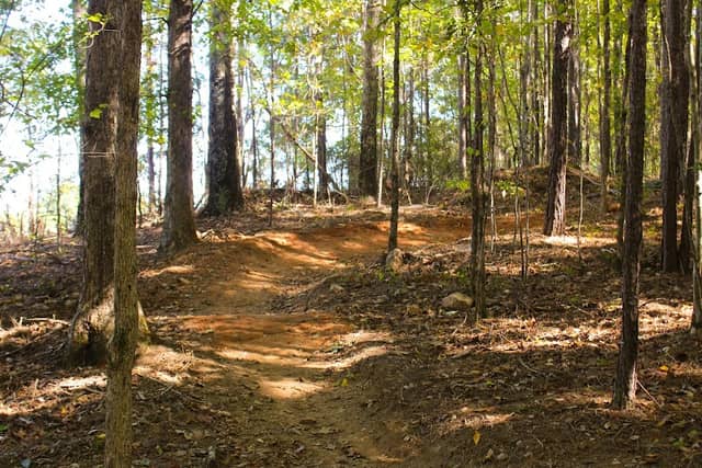 South Rockdale Community Park, Playground - Image 3