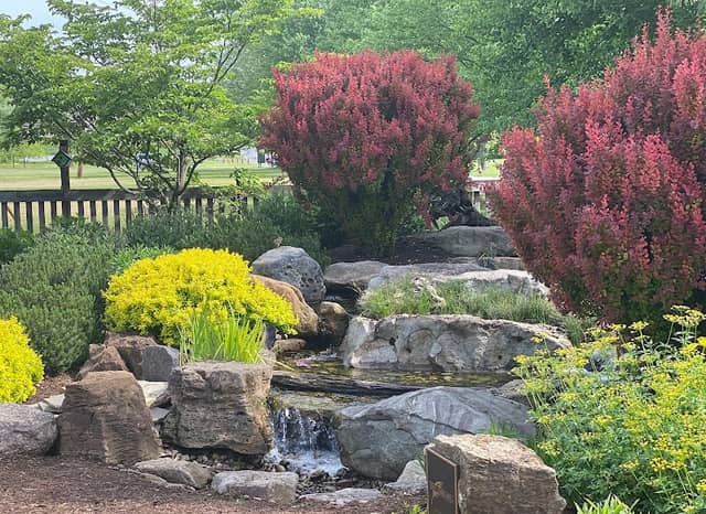 Discovery Garden - Image 1
