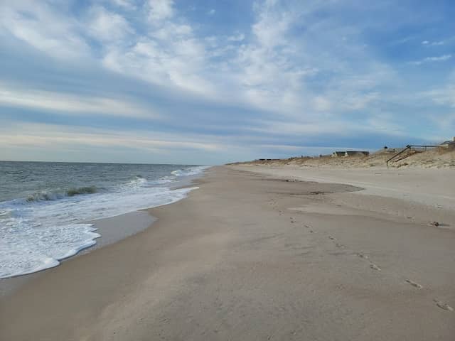 Bald Head Island Natural Area - Image 1