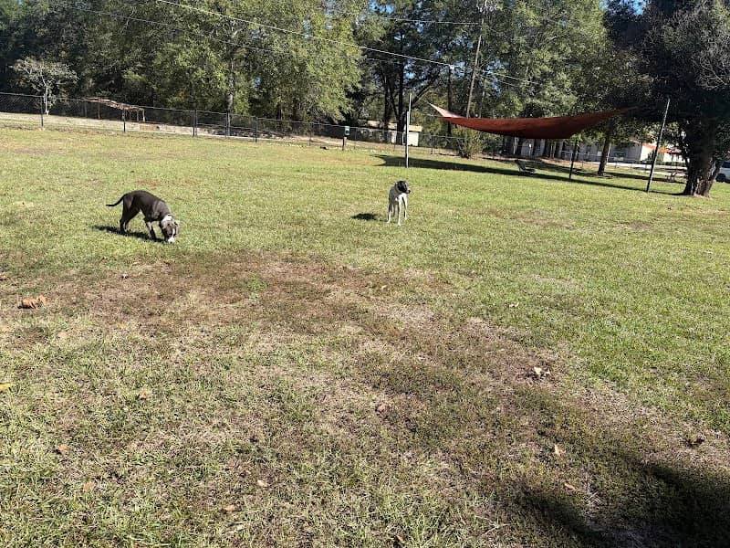 Gordy Dog Park - Image 1