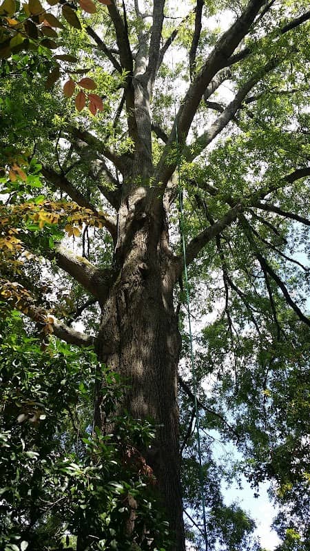 Mary Ann Neeley Park - Image 2