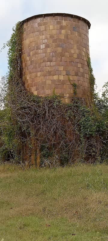Cecile Plantation - Image 2