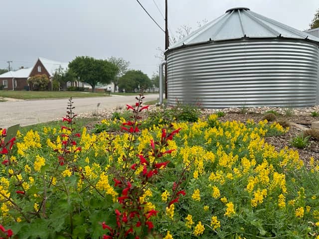 Demonstration Gardens - Image 2