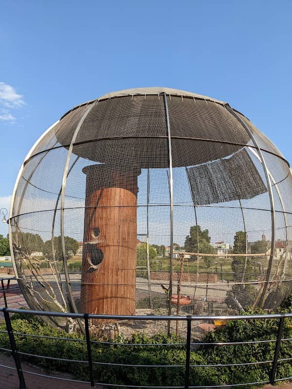 Aviary - Image 1