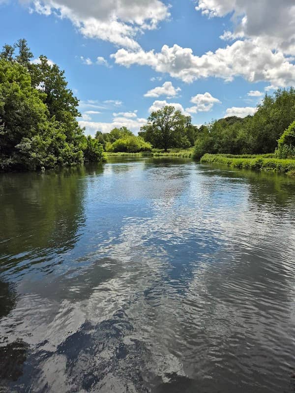 Testwood Walk - Image 1