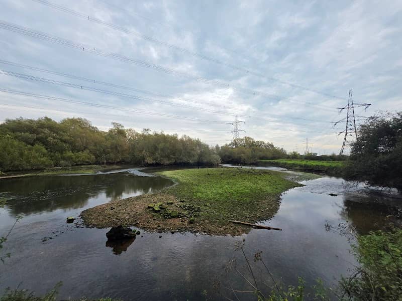 Testwood Walk - Image 2