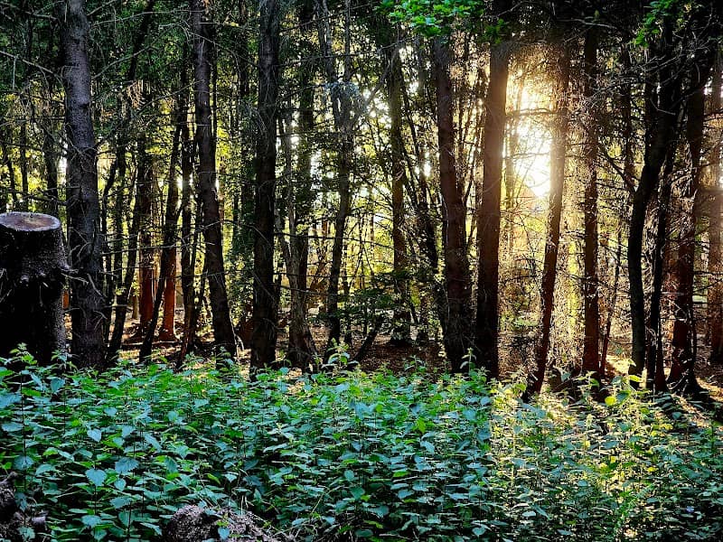 Franklands park - Image 2