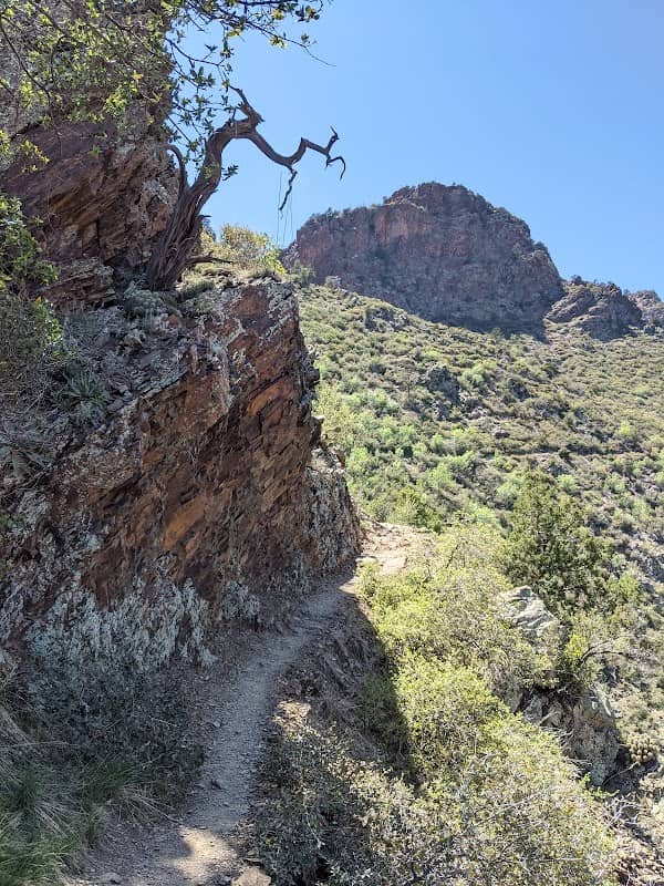 Barnhardt Trail #43 (Eastern Terminus) - Image 1