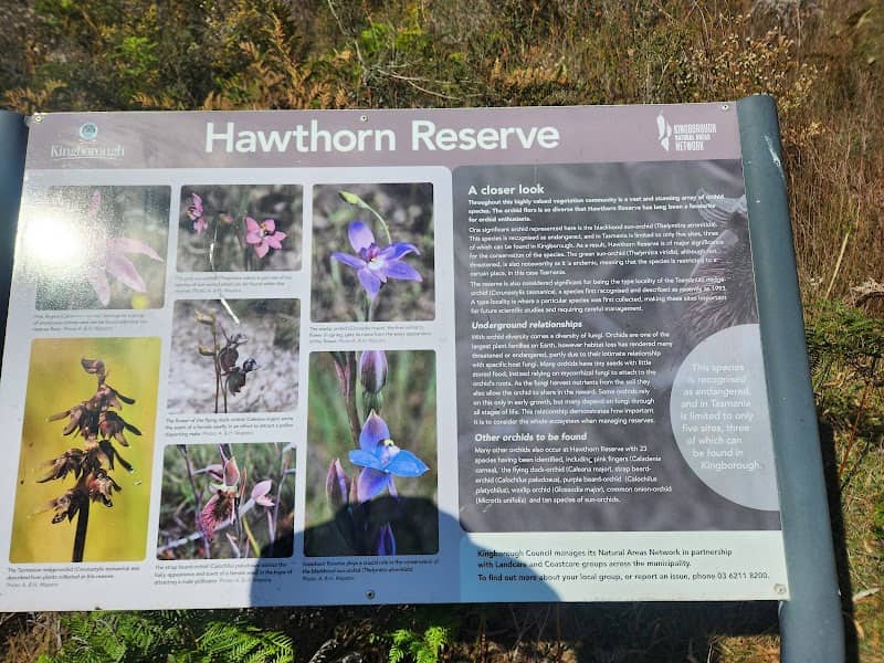 Hawthorn Reserve - Image 2