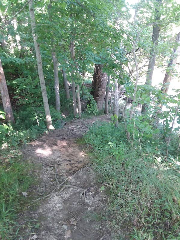 Lover's Portage River Fishing Access - Image 2