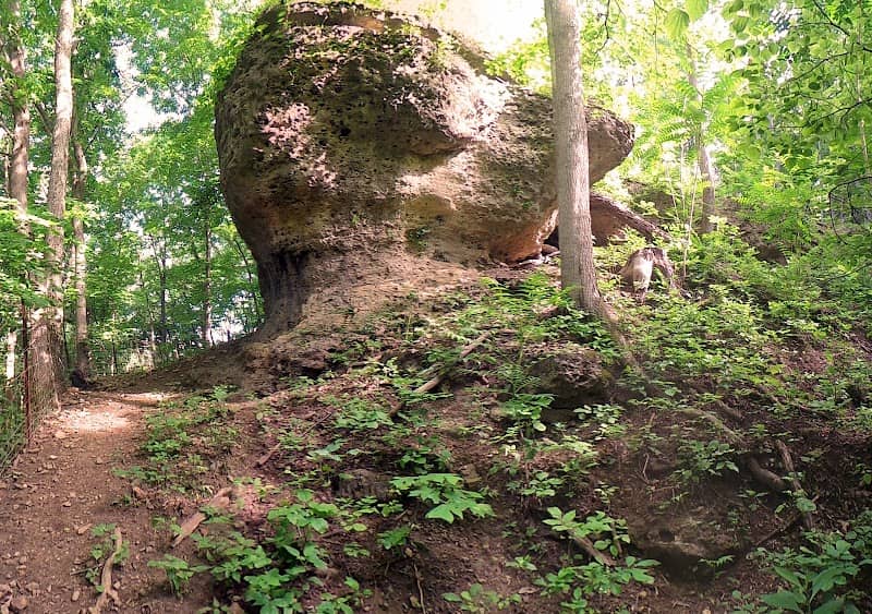 Shawnee Ridge Hunting - Image 2