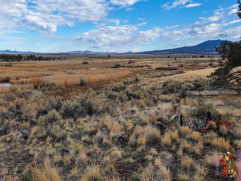 Rimrock Springs Wildlife Management Area - Image 3