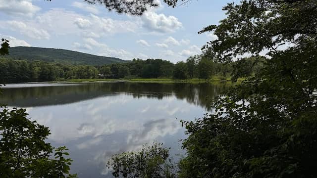 Frog Hill - Image 1
