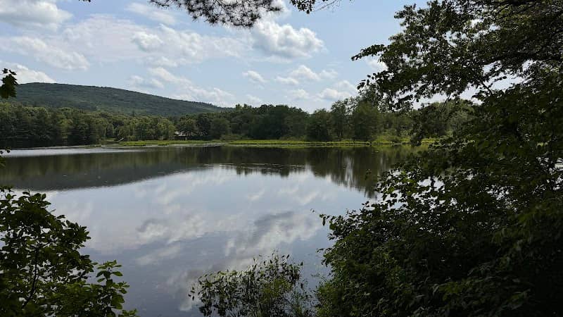 Frog Hill - Image 1