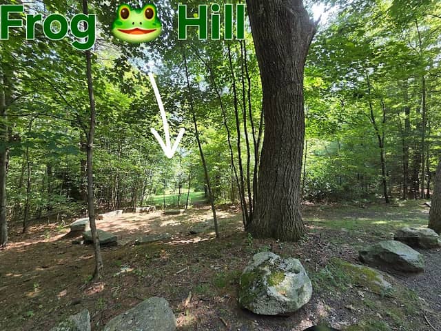 Frog Hill - Image 2
