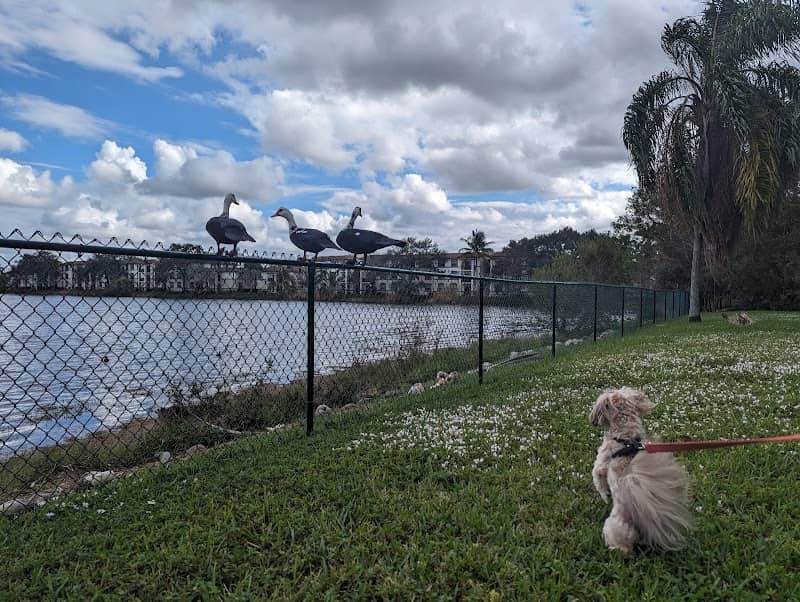 Lake Woodbridge - Image 2