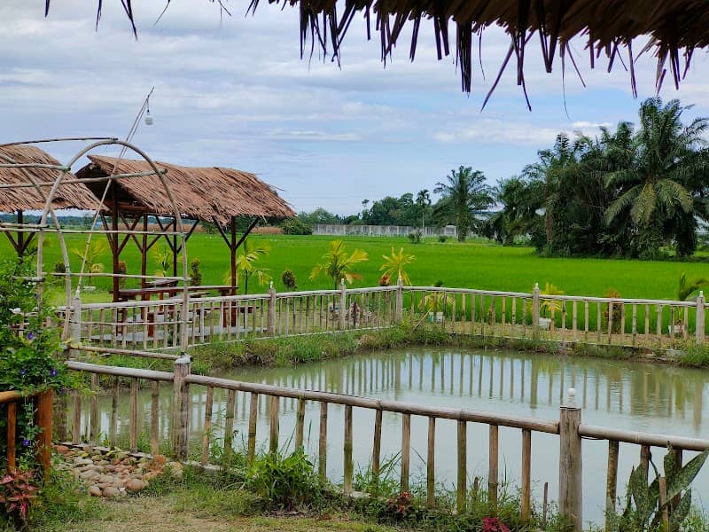 Tempat Wisata Padi Bolang - Image 2