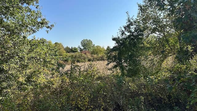 Millard Preserve - Image 1