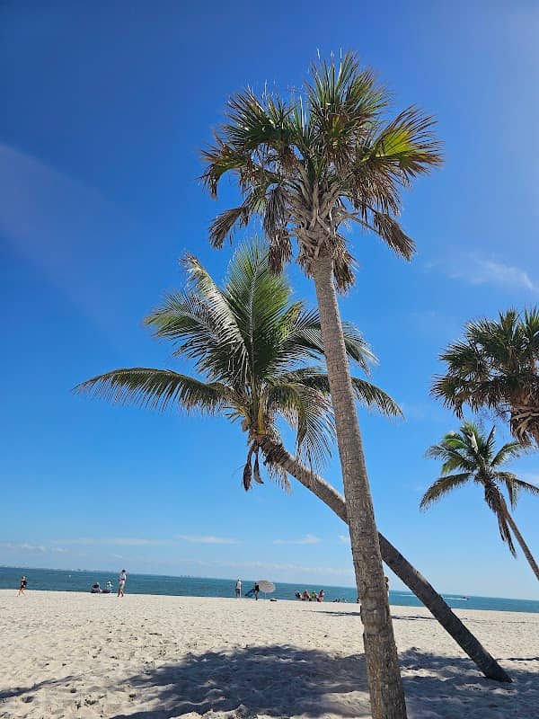 Sanibel Beach - Image 3