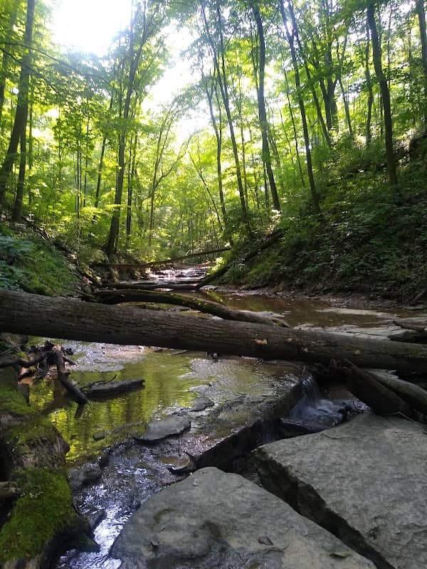Halls Creek Woods State Nature Preserve - Image 1